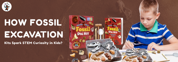 How Fossil Dig Kits Spark STEM Curiosity in Kids?