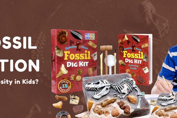How Fossil Dig Kits Spark STEM Curiosity in Kids?