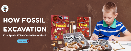 How Fossil Excavation Kits Spark STEM Curiosity in Kids?