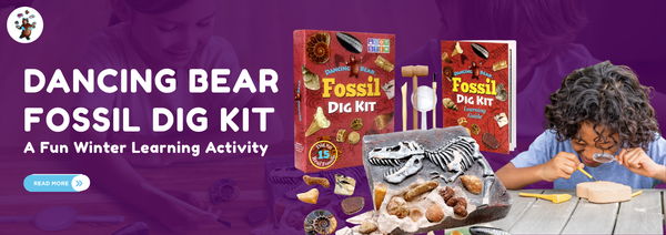 Dancing Bear Fossil Dig Kit: A Fun Winter Learning Activity