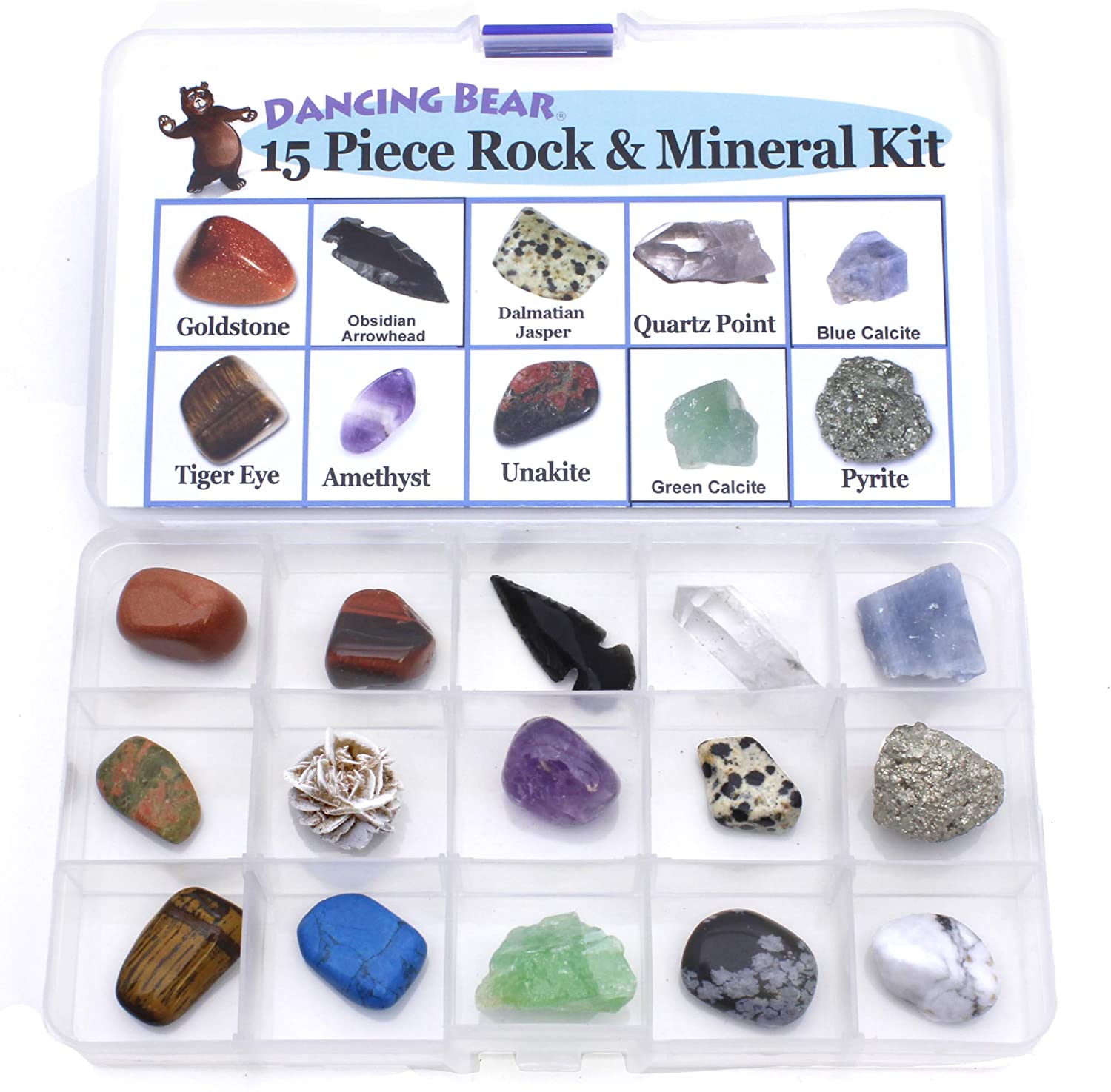 15 Piece Rock & Mineral Collection & Display Box – Dancing Bear's Rocks and  Minerals