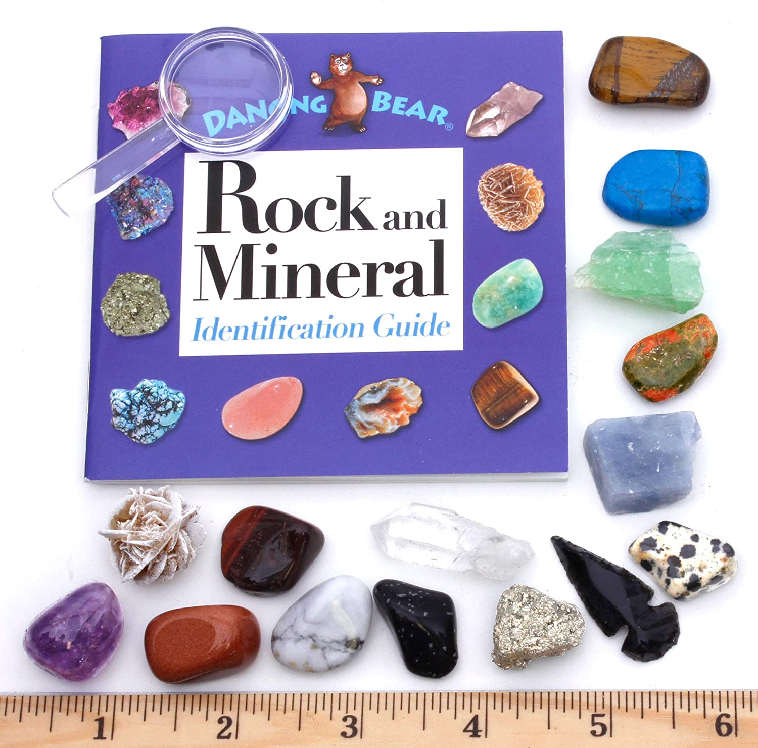Rock Collection Box For Kids Natural Rough Mineral Specimens Set for  Education