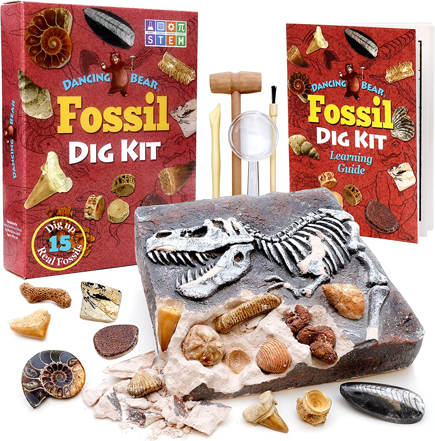 Kids Gold Dig Kit, Real Pyrite
